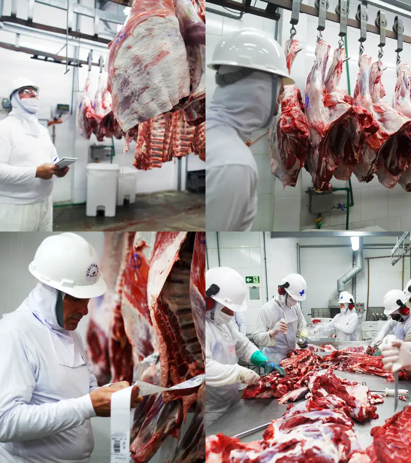 Produção Tecnológica de Carne de Bufalo Baby Buf